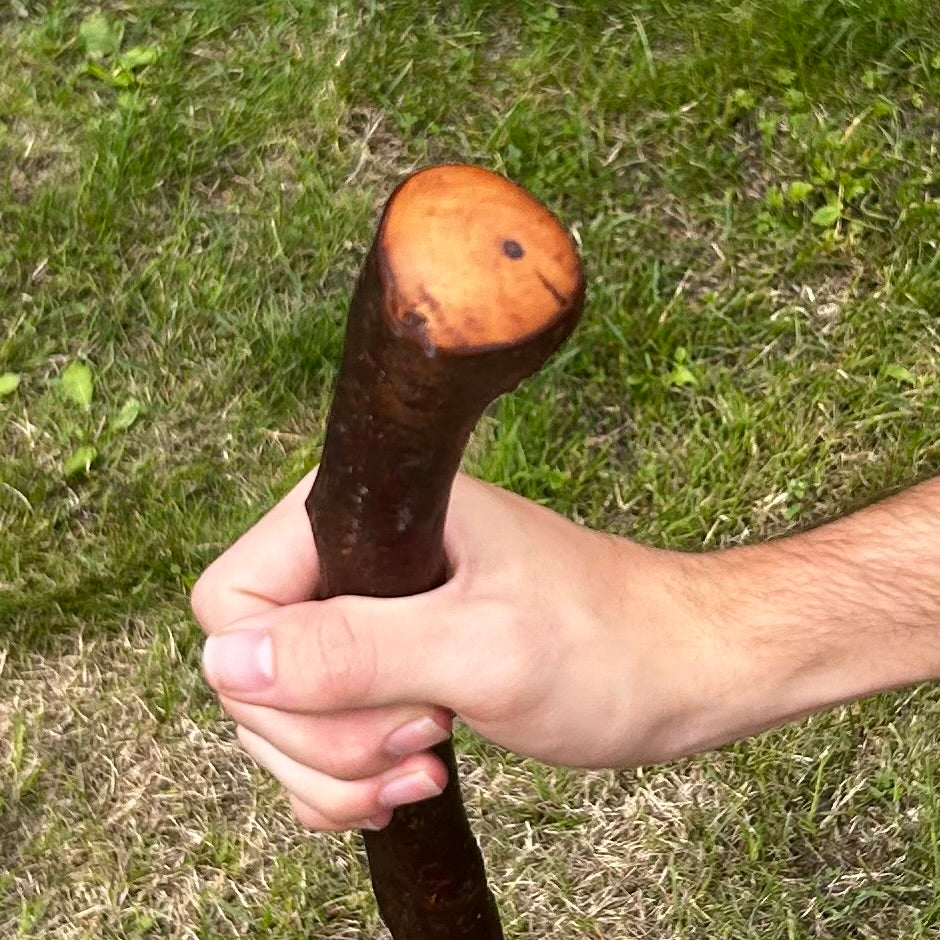Chunky Blackthorn Shillelagh Small Knob Stick – 99 cm (39”)