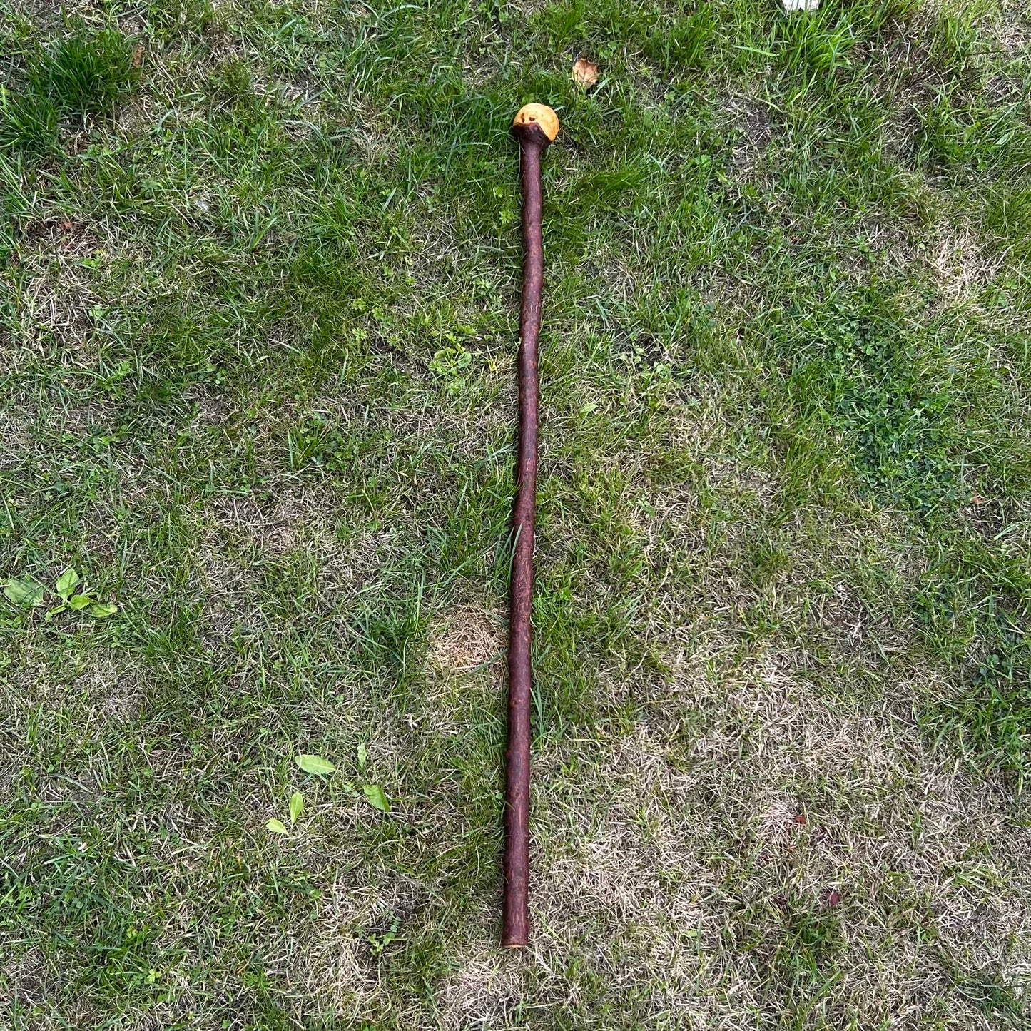 Knuckled Blackthorn Shillelagh Knob Stick – 101 cm (39.8”)