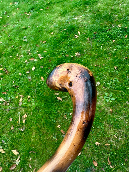 Hazel Walking Stick with Round L Handle and Black Pattern - 102 cm / 40 inches