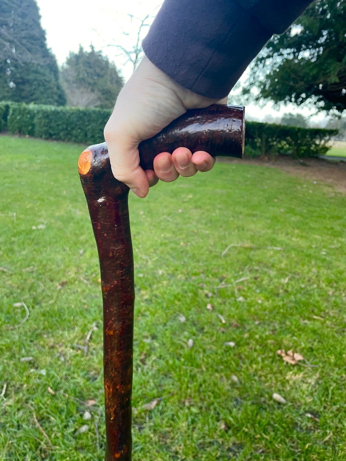 walking stick with comfortable Handle