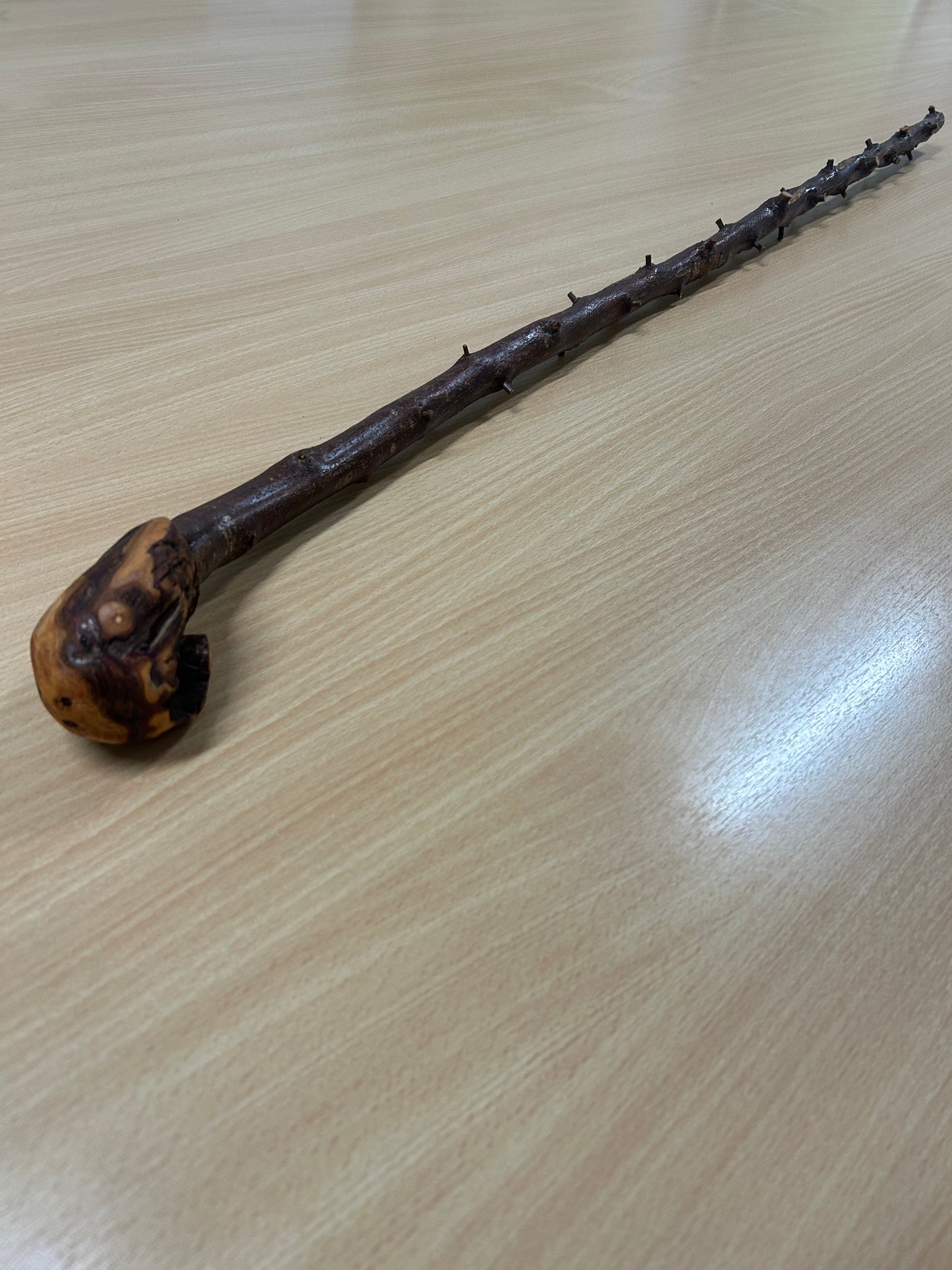 Very Thorny Blackthorn Walking Stick with Rough Head – 95cm
