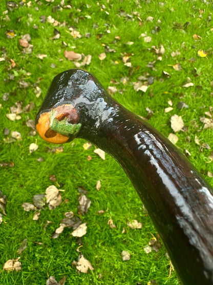 Irish Blackthorn Walking Stick – 37.5”