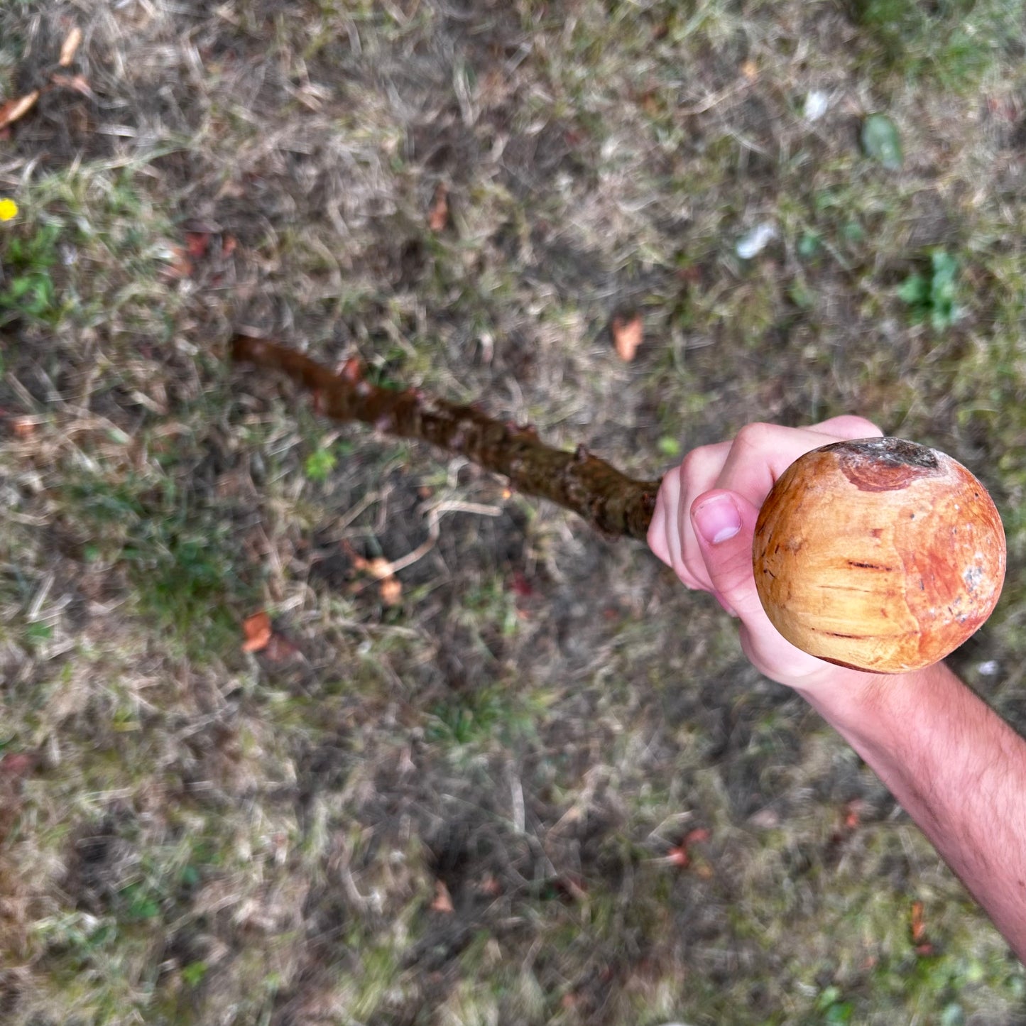 Whitethorn Shillelagh Knob Stick – 87.1 cm (34.3”)