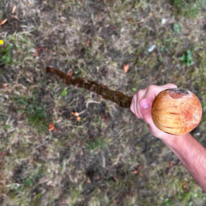 Whitethorn Shillelagh Knob Stick – 87.1 cm (34.3”)