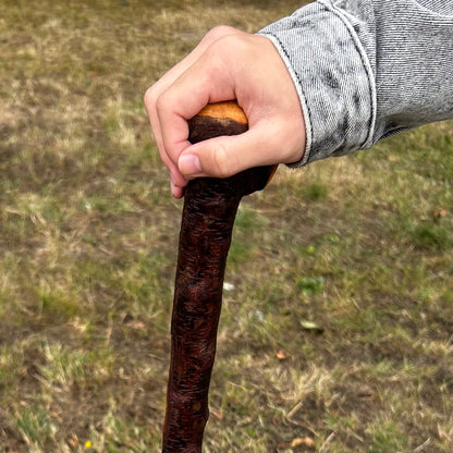 Large Chunky Knob Blackthorn Shillelagh – 93.5 cm (36.8”)