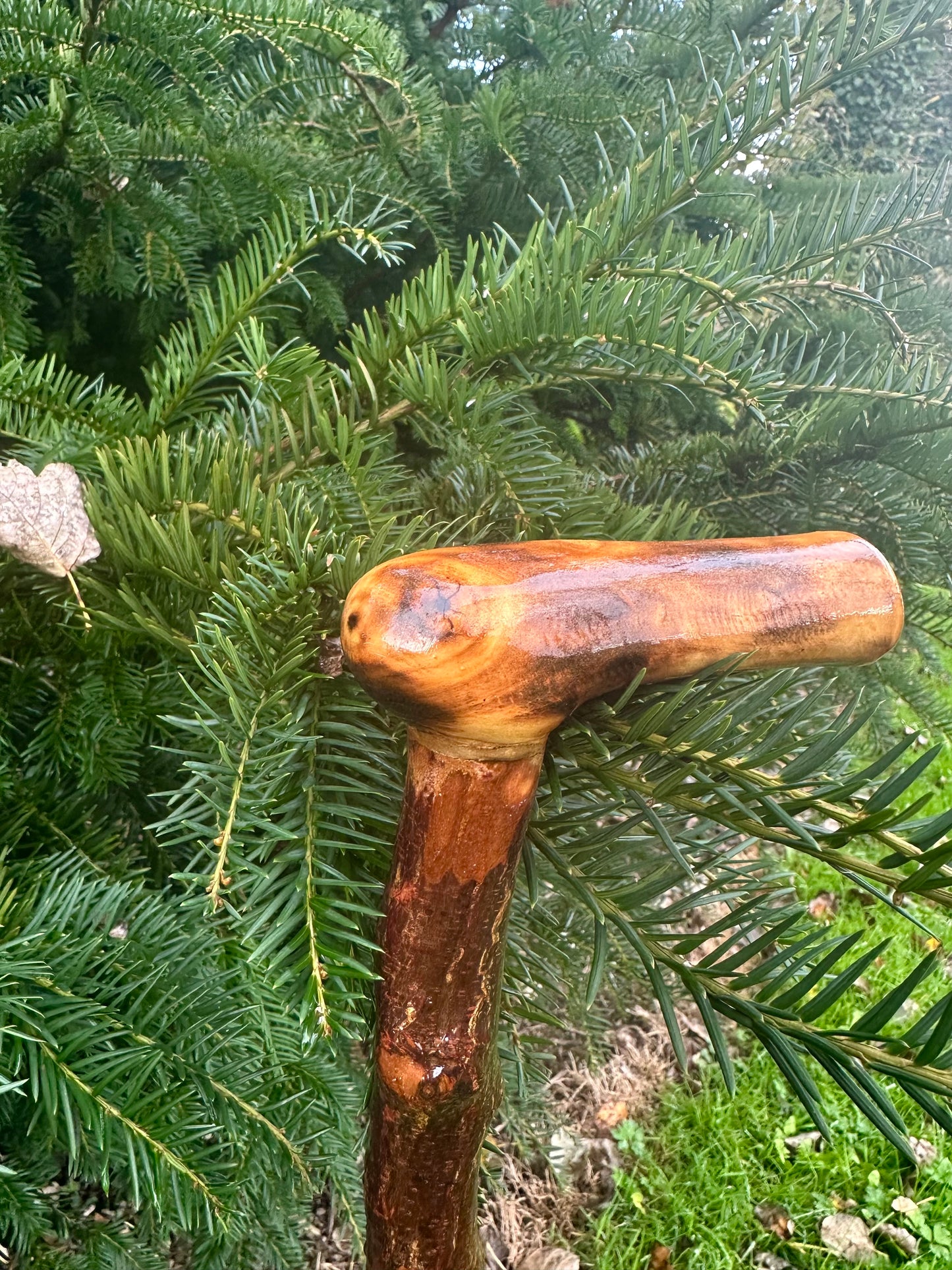 Irish Blackthorn Walking Stick with L Handle – 38”