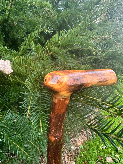 Irish Blackthorn Walking Stick with L Handle – 38”