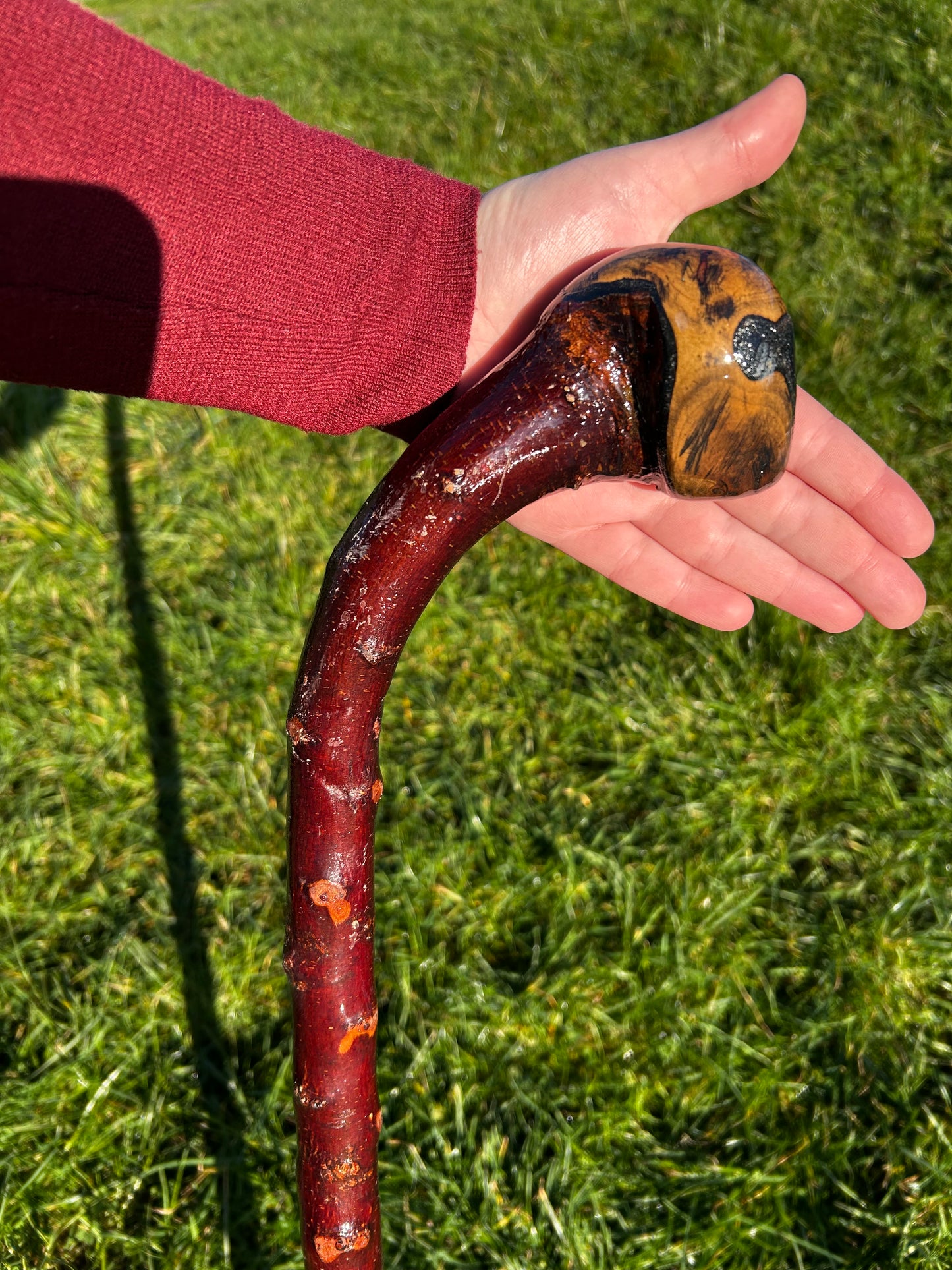 Blackthorn Curved Knob Shillelagh - 90 cm / 35 inches