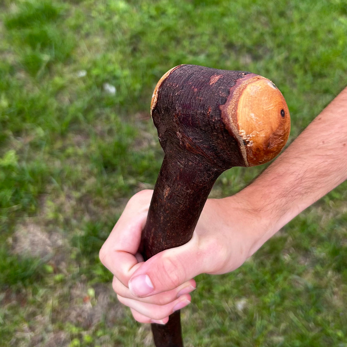 T-Shaped Handle Blackthorn Shillelagh – 97 cm (38.2”)