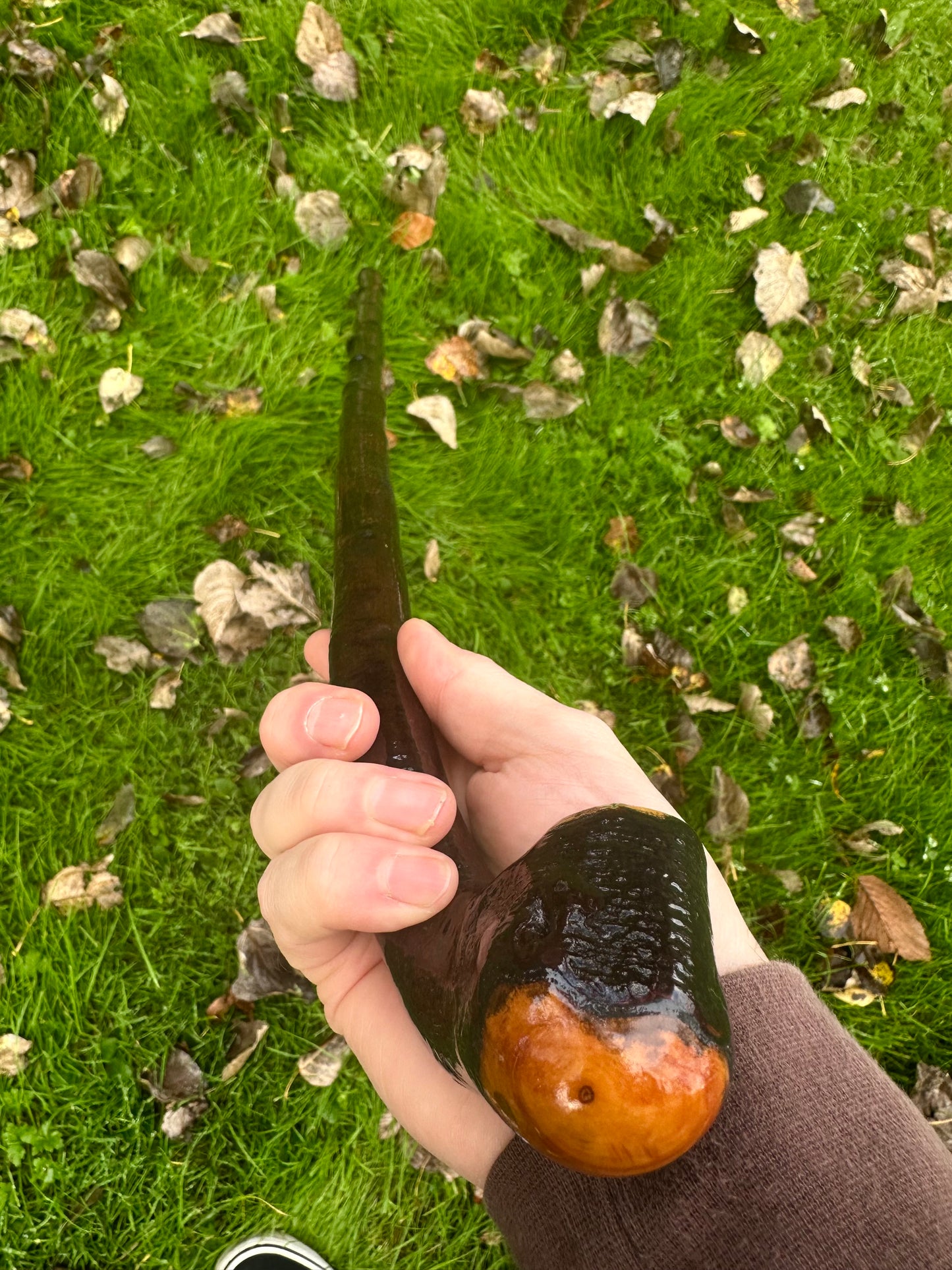 Irish Blackthorn Walking Stick – 37.5”