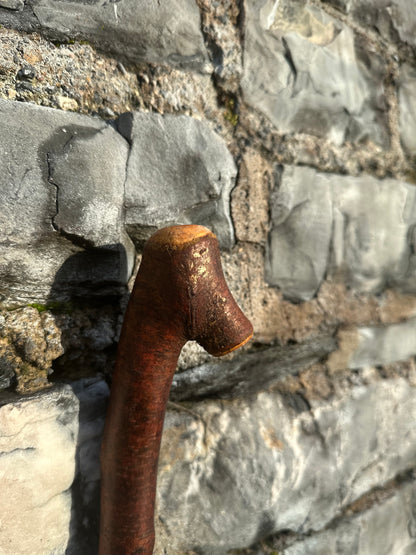 Blackthorn Walking Stick with Small Knob Handle – 98 cm (38.5”)