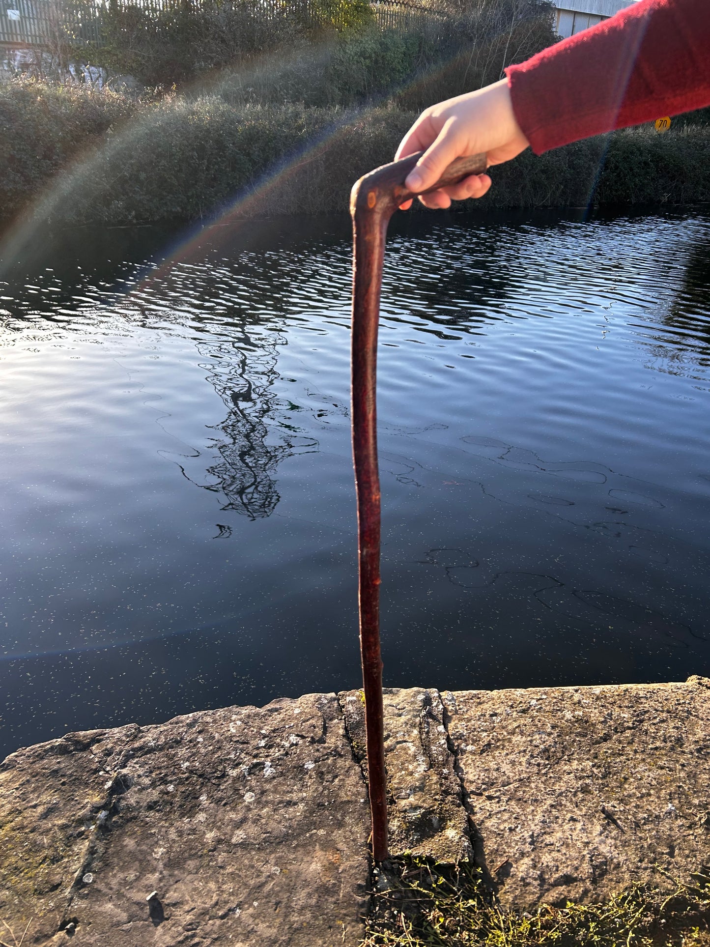 L Handle Blackthorn Walking Stick – 99 cm (39”)