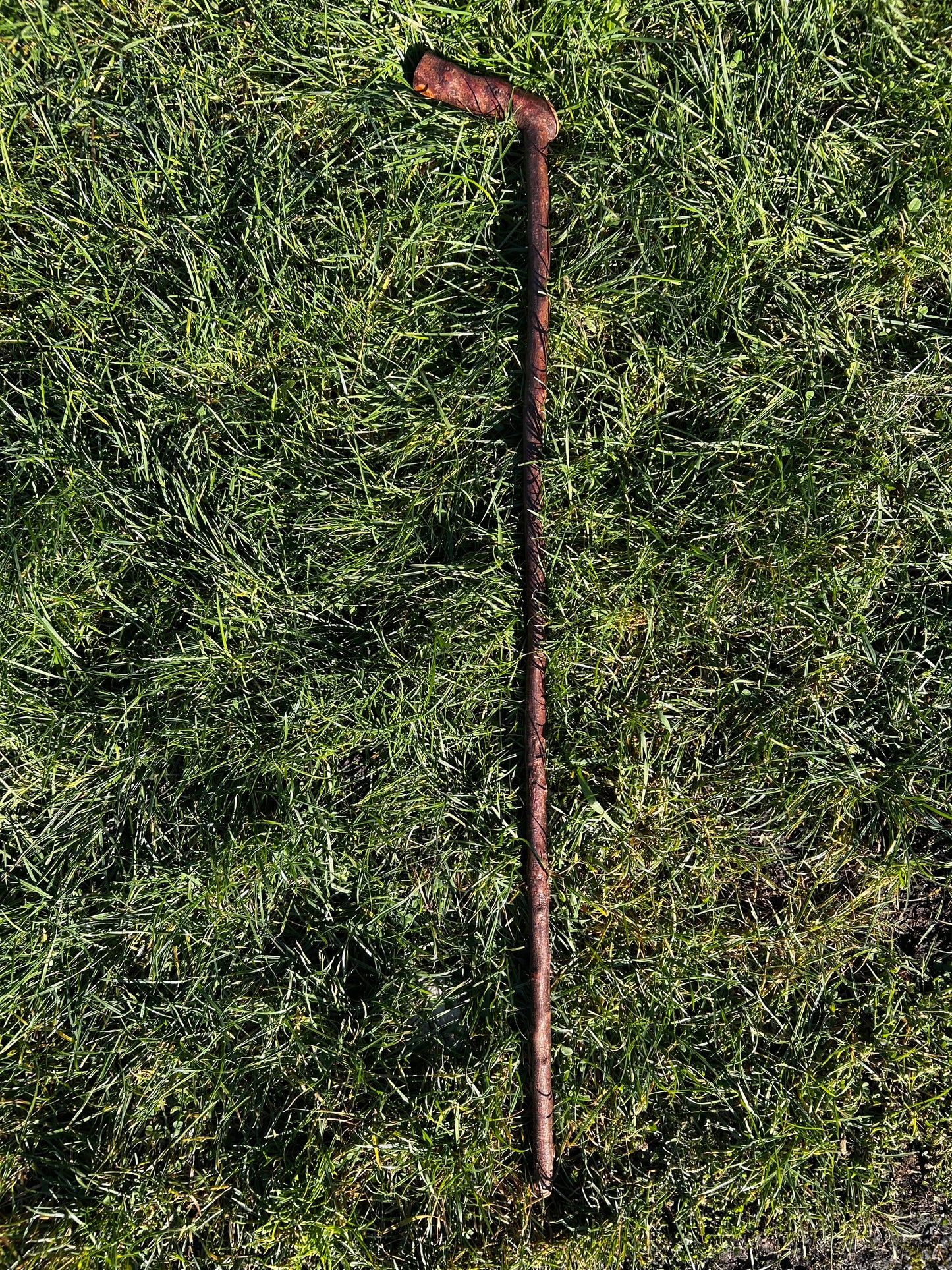 Blackthorn Walking Stick with L Handle – 102 cm / 40 inches