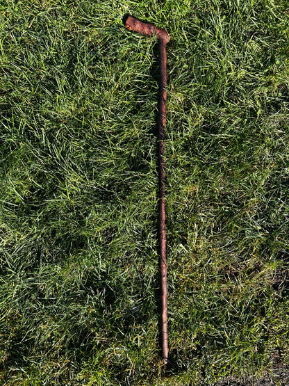 Blackthorn Walking Stick with L Handle – 102 cm / 40 inches