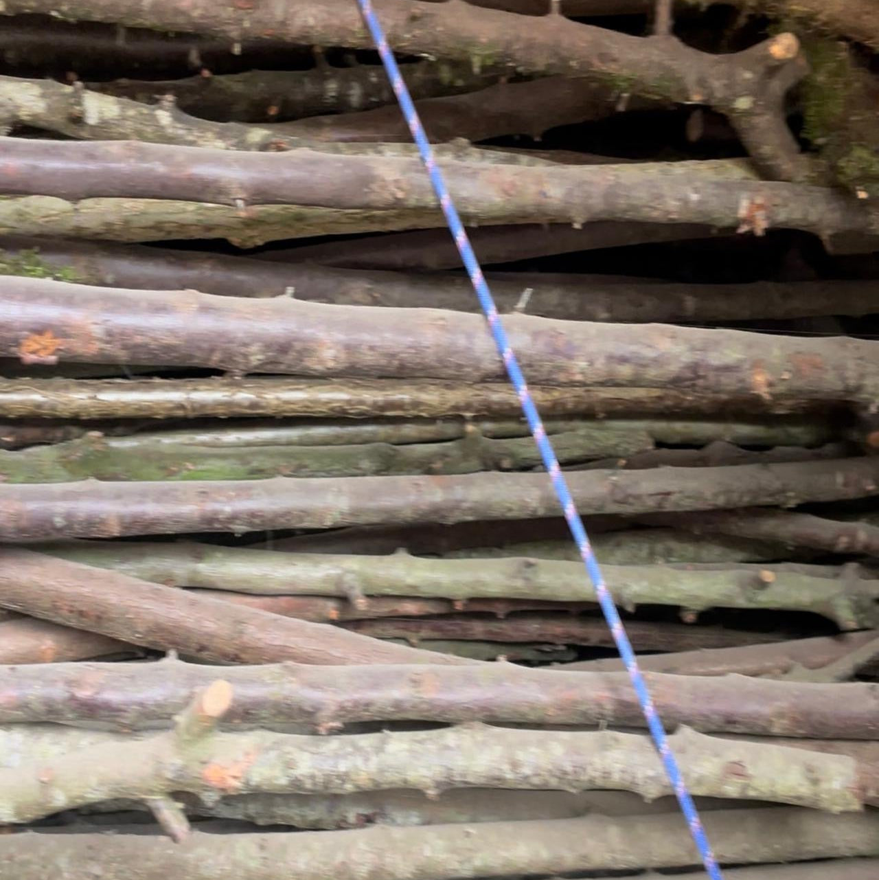 Tall Blackthorn Shillelagh Knob Stick – 116 cm (45.7”)