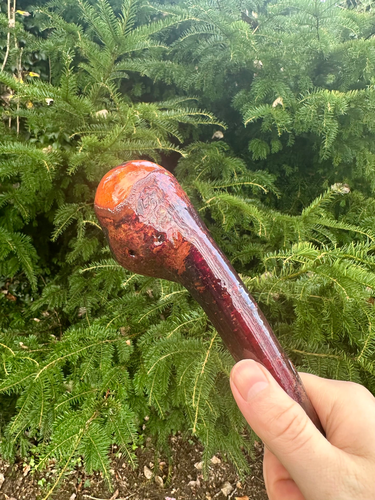 Irish Blackthorn Walking Stick – 40”