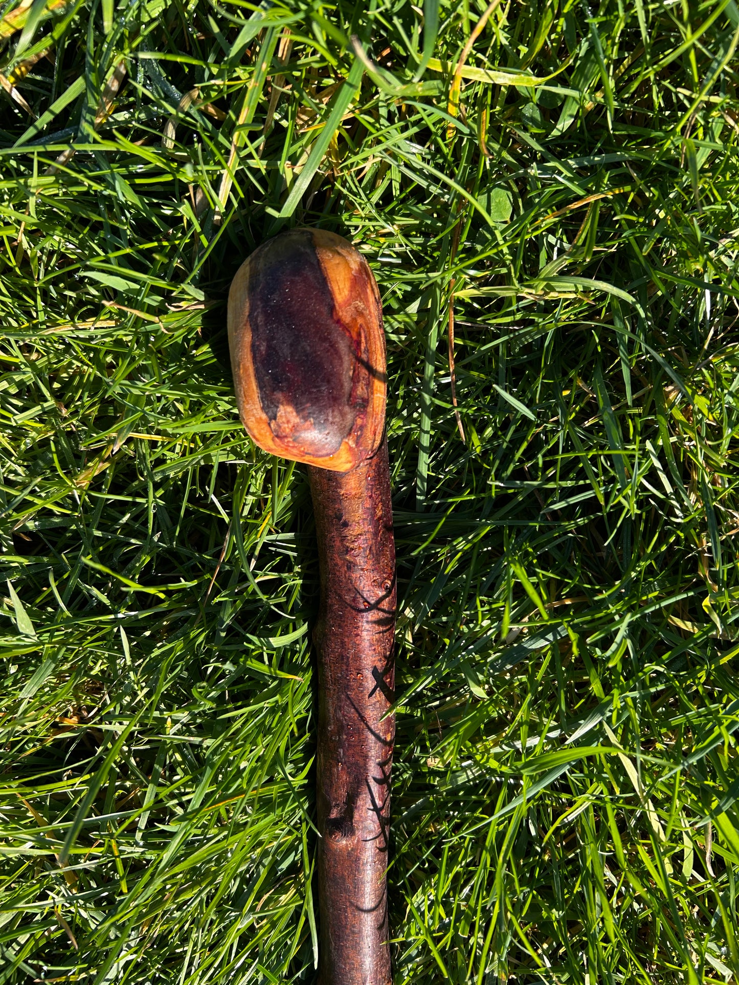 Blackthorn Shillelagh with Large Curved Handle – 100 cm (39”)