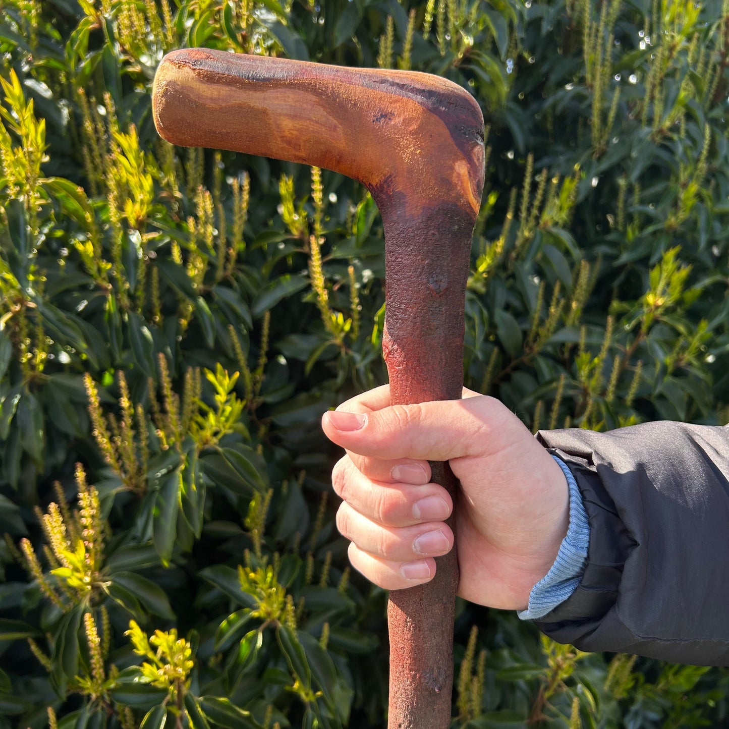 Blackthorn Shillelagh with L Handle – 99 cm (39”)