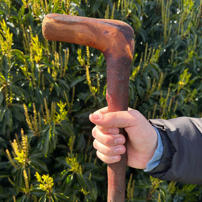 Blackthorn Shillelagh with L Handle – 99 cm (39”)