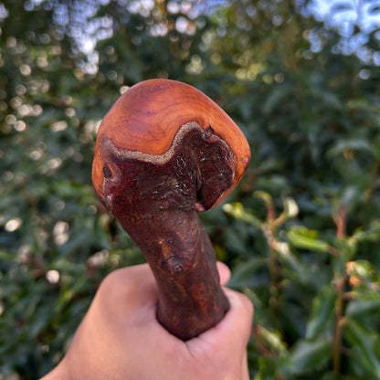 Viper-Shaped Root Ball Blackthorn Shillelagh – 105 cm (41.3”)