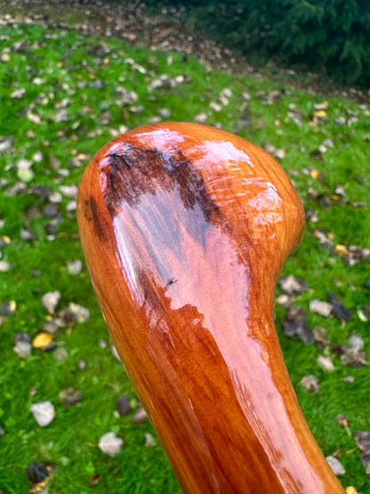 Hazel Walking Stick with Spalted Yew Head – 39.5”