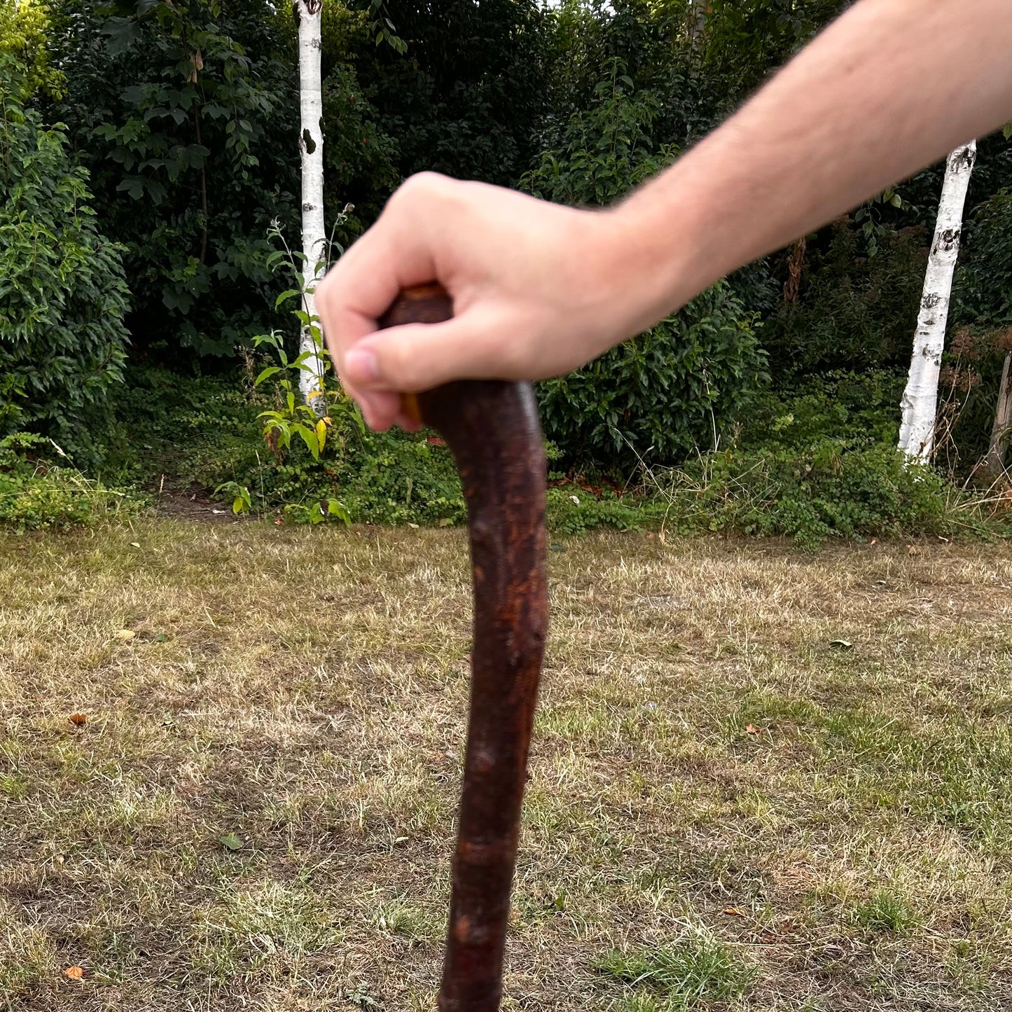 Chunky Blackthorn Shillelagh Knob Stick – 92.7 cm (36.5”)