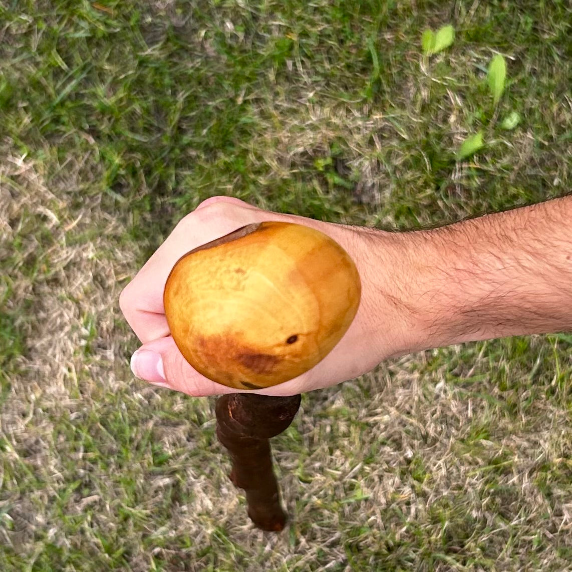 Natural Crooked Shaft Blackthorn Shillelagh – 102 cm (40.2”)
