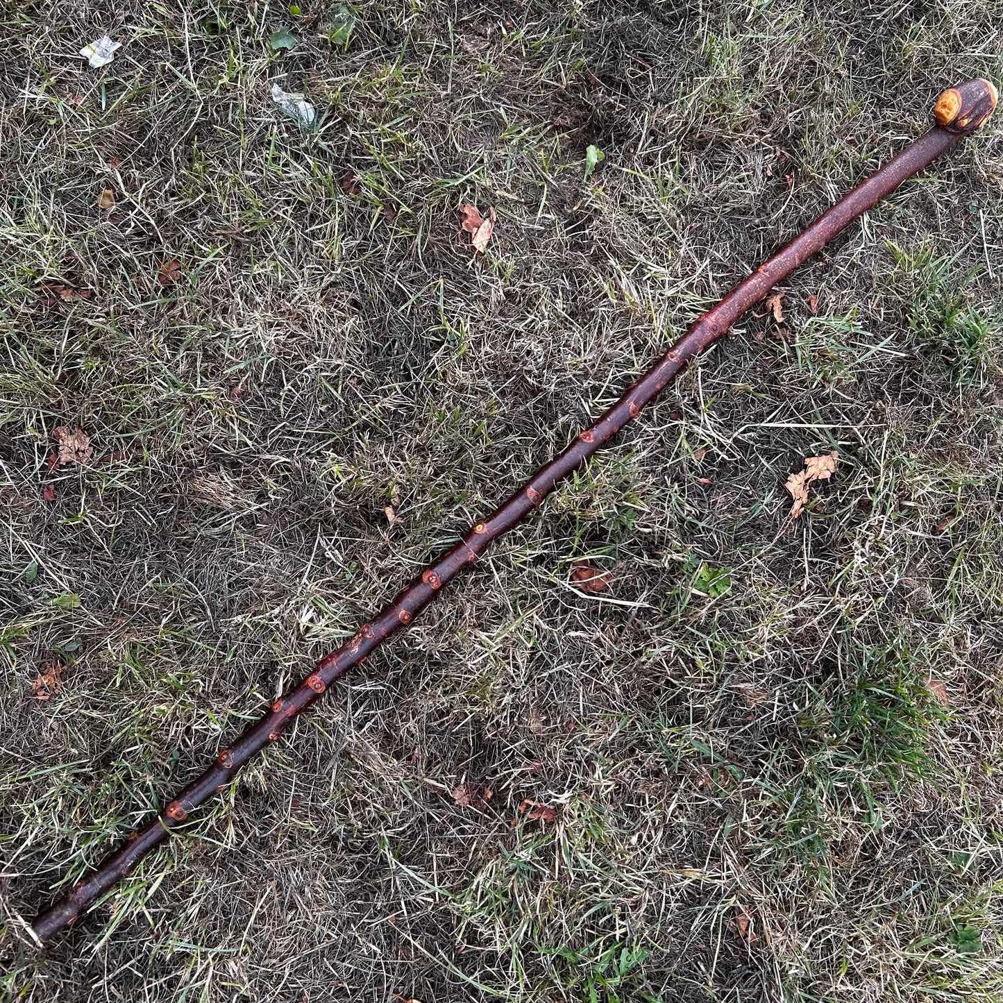 Blackthorn Shillelagh Knob Stick – 95.9 cm (37.8”)
