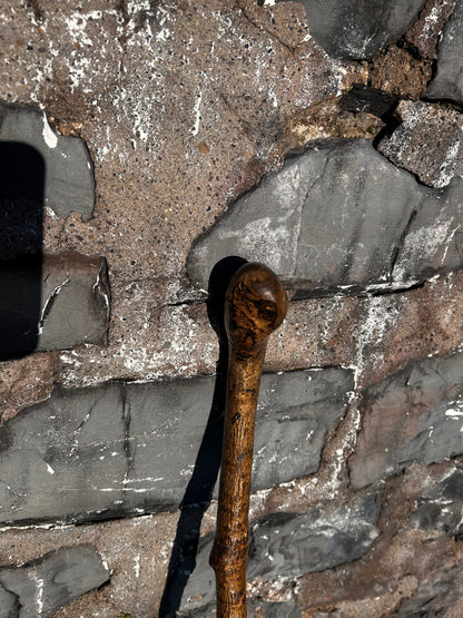 Spotted Hazel Knob Stick – 99 cm (39”)