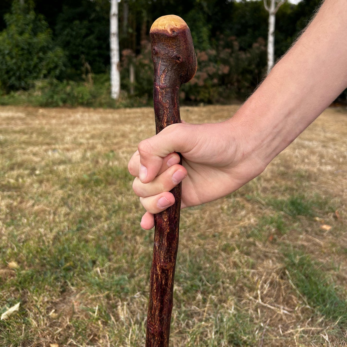 Short Chunky Blackthorn Shillelagh Knob Stick – 73 cm (28.7”)