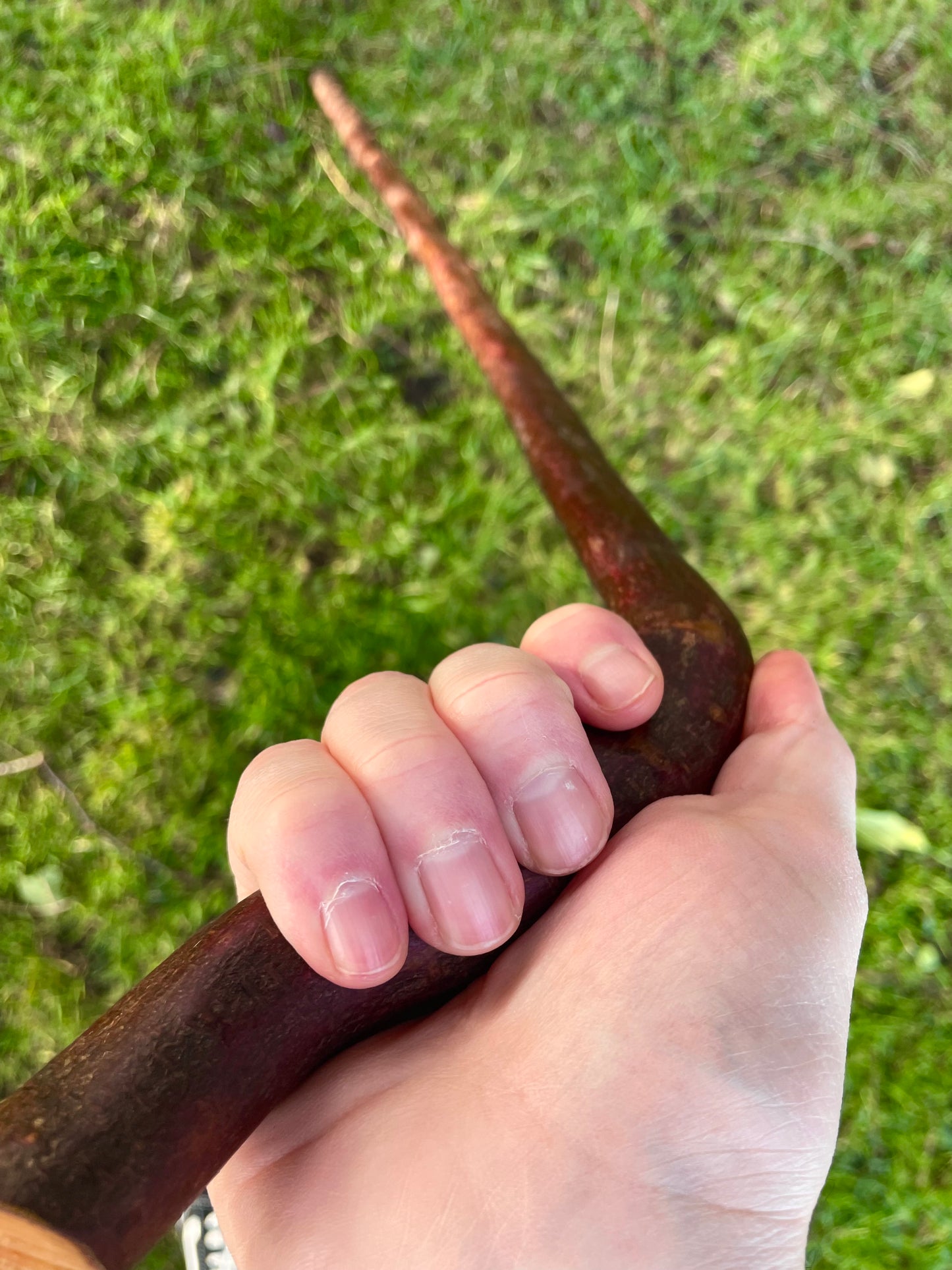 Beechwood Hiking stick