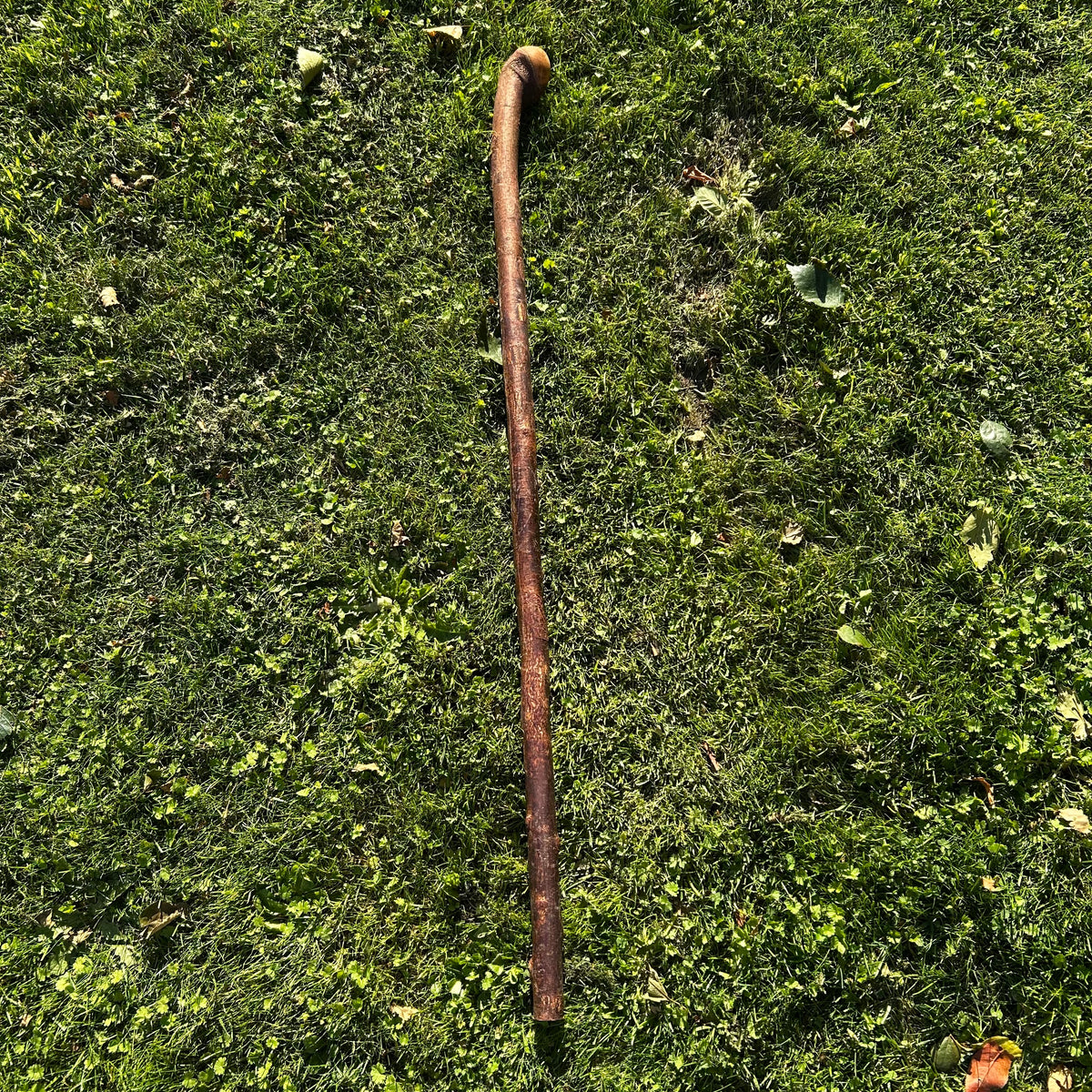 Traditional Root Ball Blackthorn Shillelagh Knob Stick – 103 cm (40.6”)