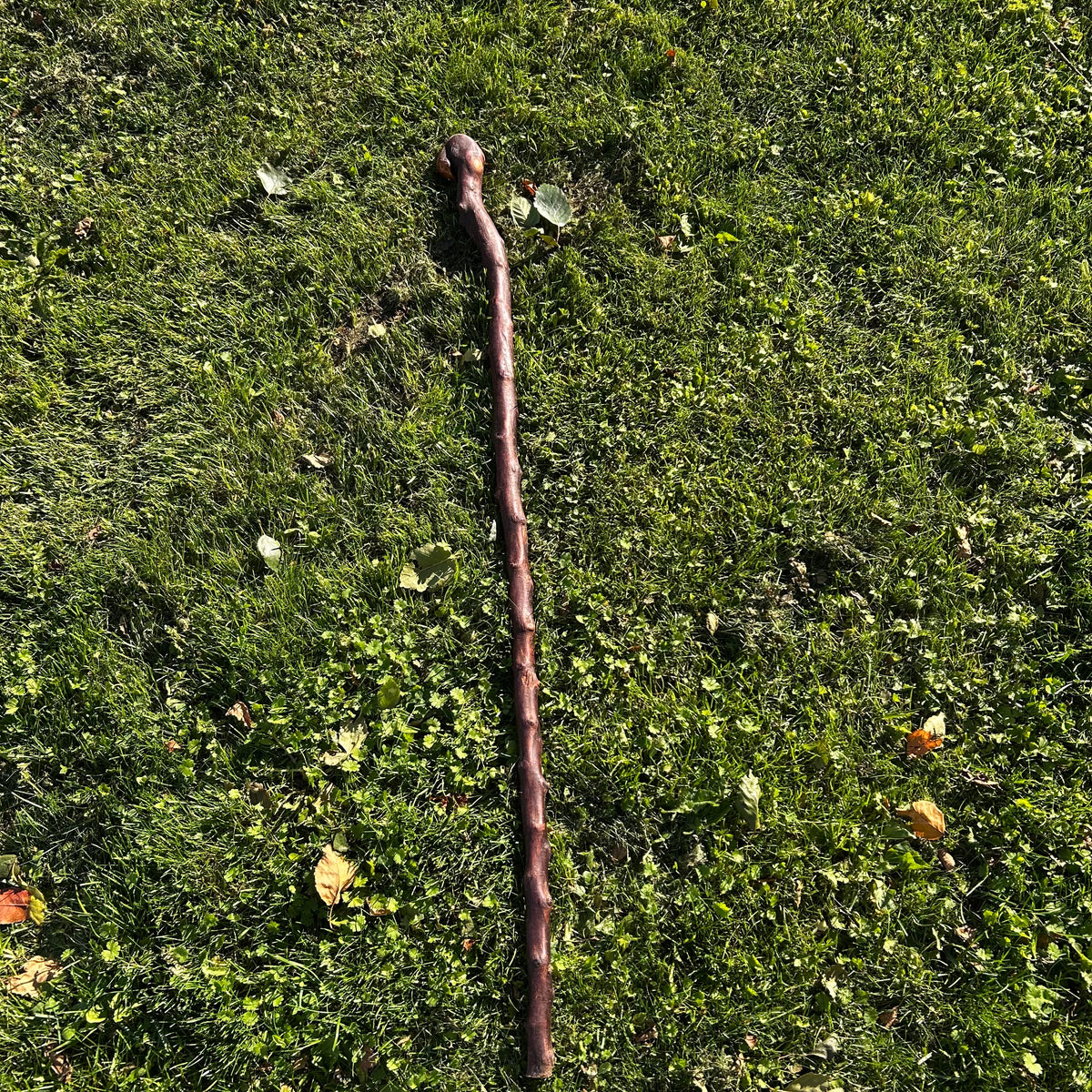 Viper-Shaped Root Ball Blackthorn Shillelagh – 105 cm (41.3”)