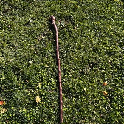 Viper-Shaped Root Ball Blackthorn Shillelagh – 105 cm (41.3”)