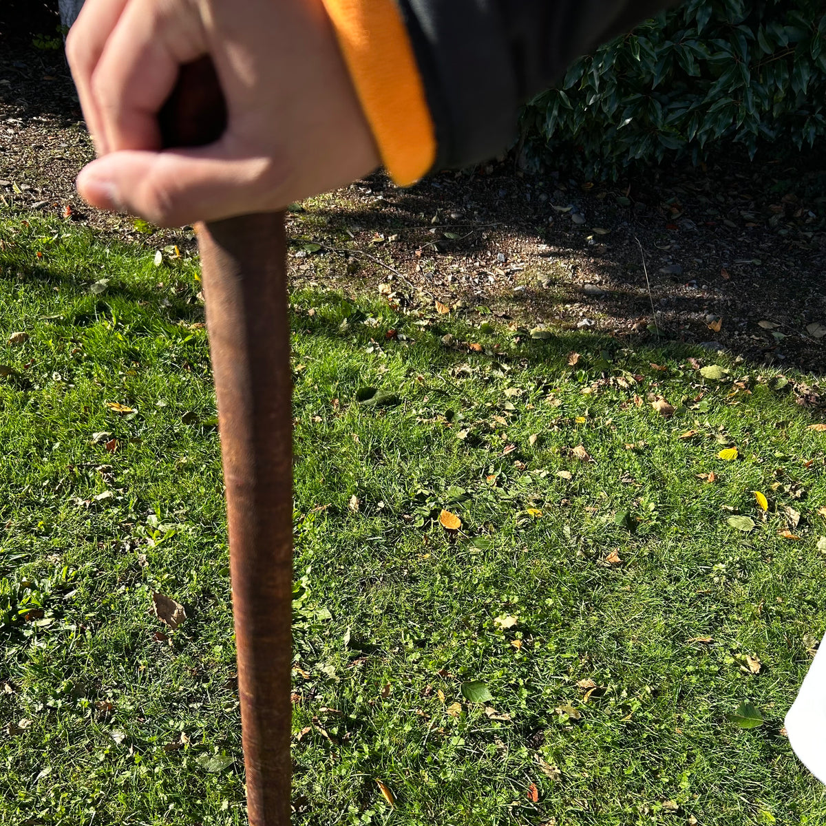 Thick Shaft Blackthorn Shillelagh Small Knob Stick