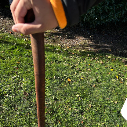 Thick Shaft Blackthorn Shillelagh Small Knob Stick