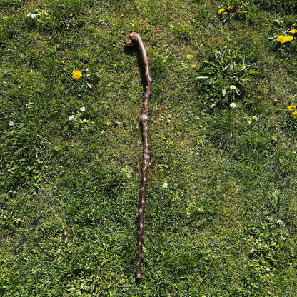 Twisted Blackthorn Shillelagh Knob Stick – 102 cm (40.1”)