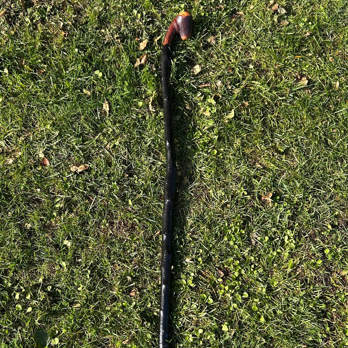 Rugged Ronan - Root Ball Blackthorn Shillelagh Knob Stick
