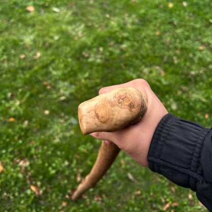 Lightweight Irish Walking Stick with Small Handle – 96 cm (37.8”)