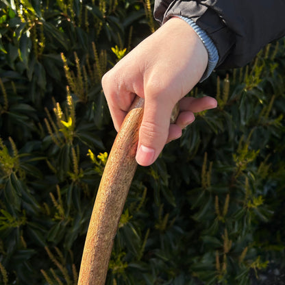 Hazel Shillelagh Knob Stick – 103 cm (40.5”)