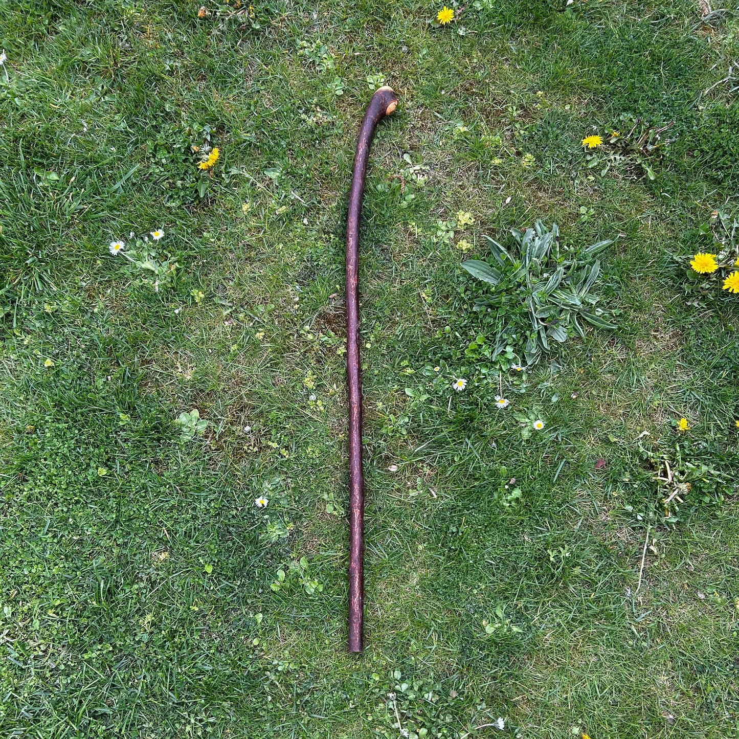 Blackthorn Shillelagh Smooth Knob Stick – 94 cm (37”)