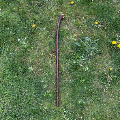 Blackthorn Shillelagh Smooth Knob Stick – 94 cm (37”)