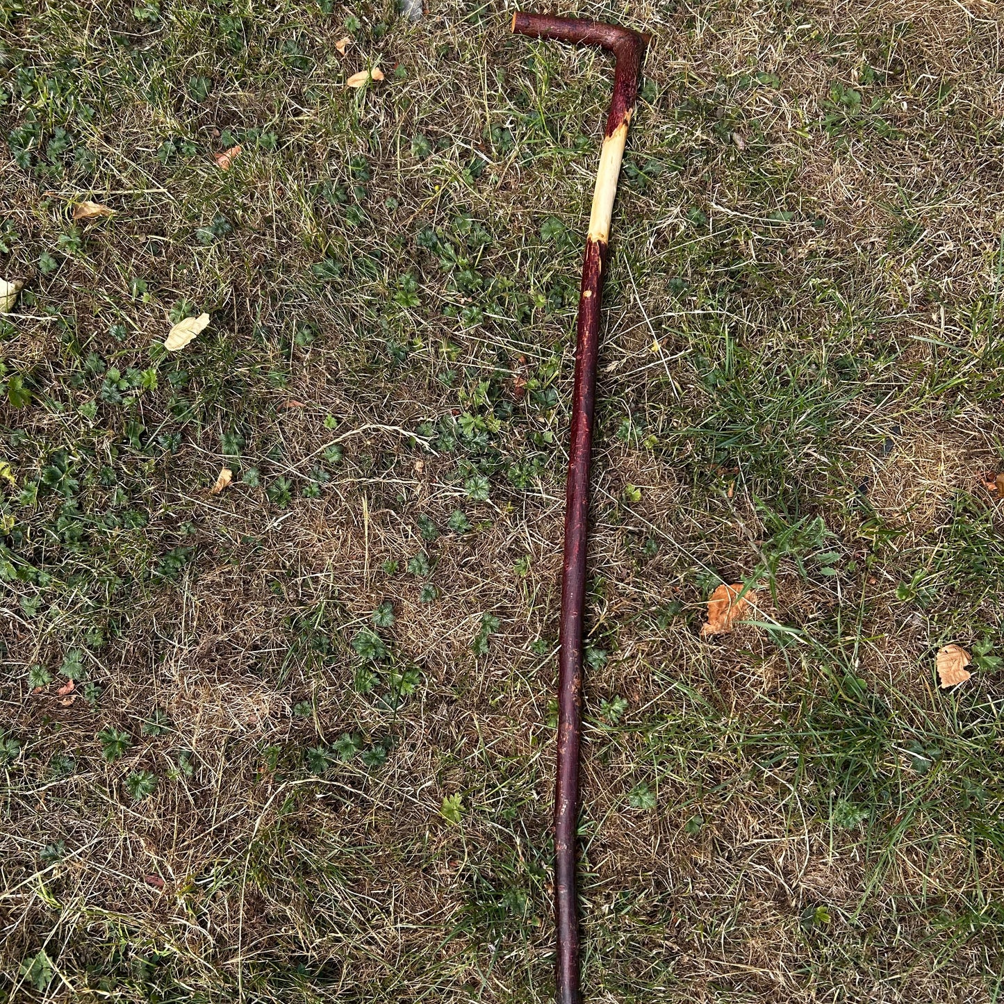 Blackthorn Shillelagh Light L Handle with Natural Bark – 93 cm (36.6”)
