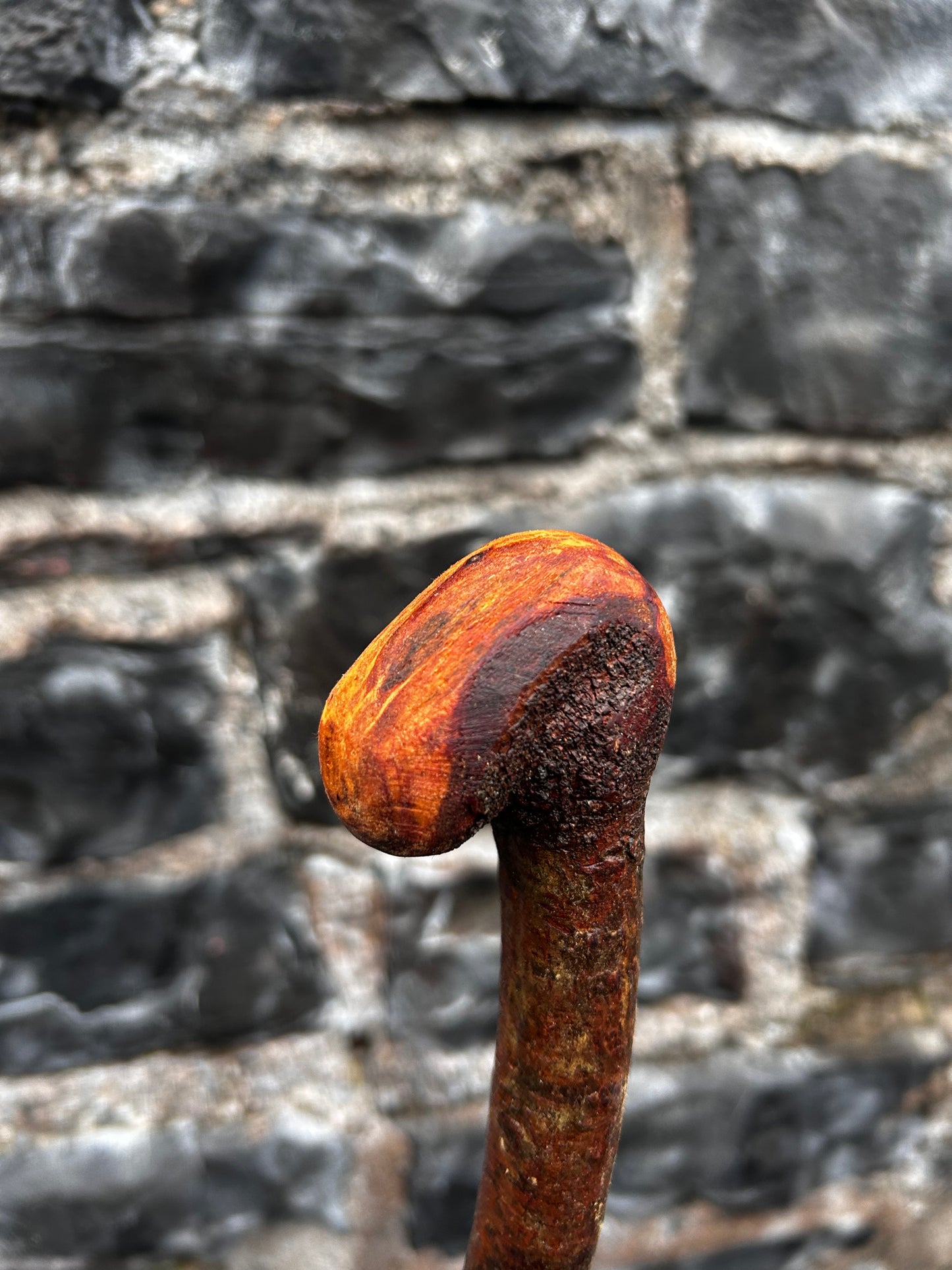 Blackthorn Walking Stick with Small Knob Head – 94 cm (37”)