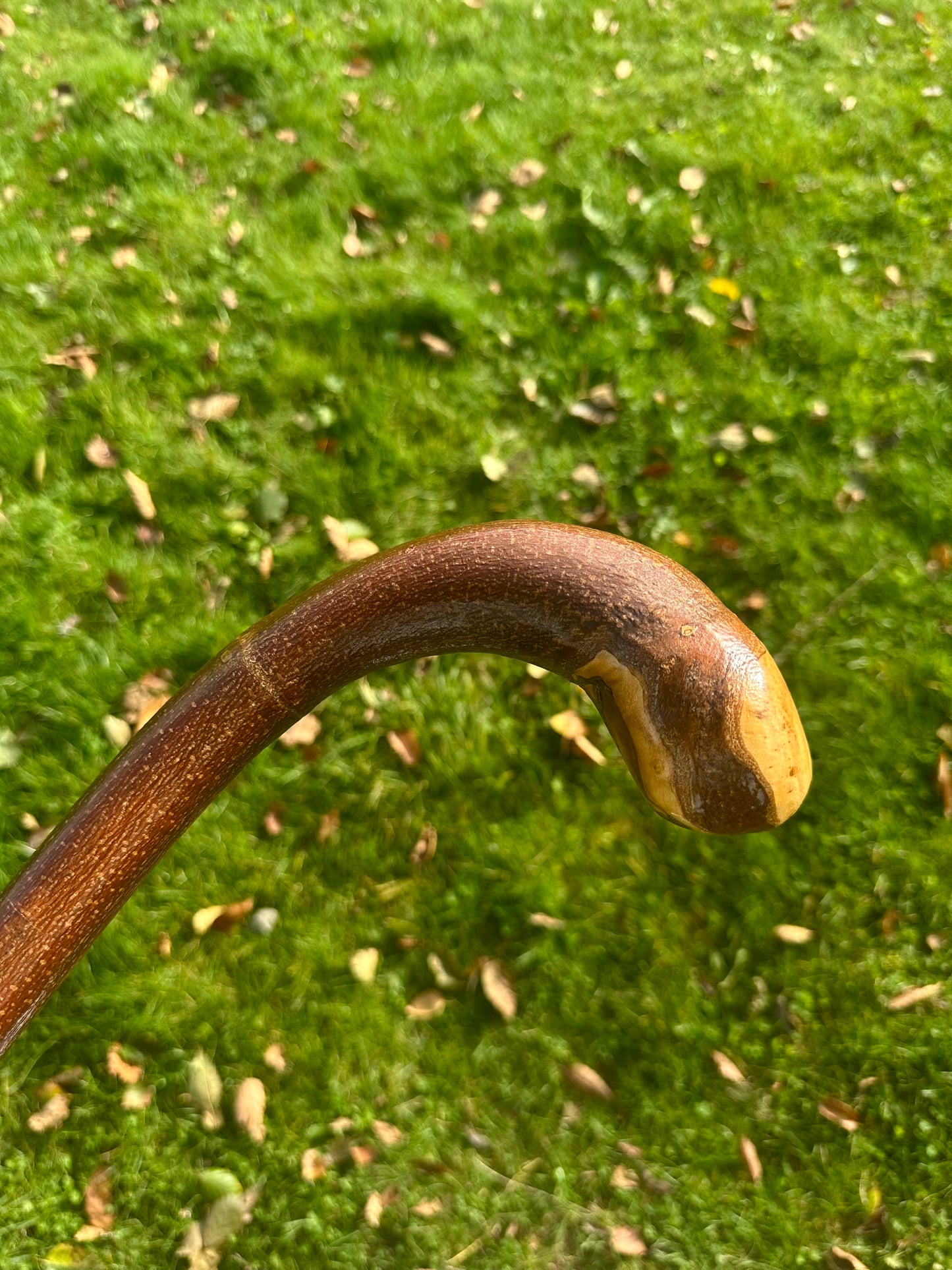 Hazel Walking Stick with L Handle - 103 cm / 40.5 inches