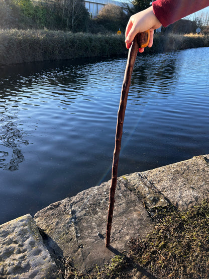 Blackthorn Shillelagh with Large Curved Handle – 100 cm (39”)
