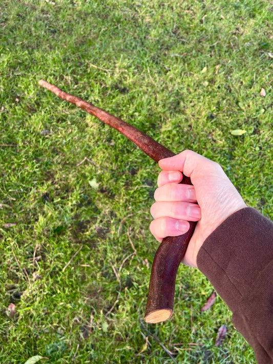 Beechwood Hiking stick