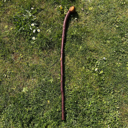 Rustic Blackthorn Shillelagh Root Ball Handle – 95 cm (37.4”)