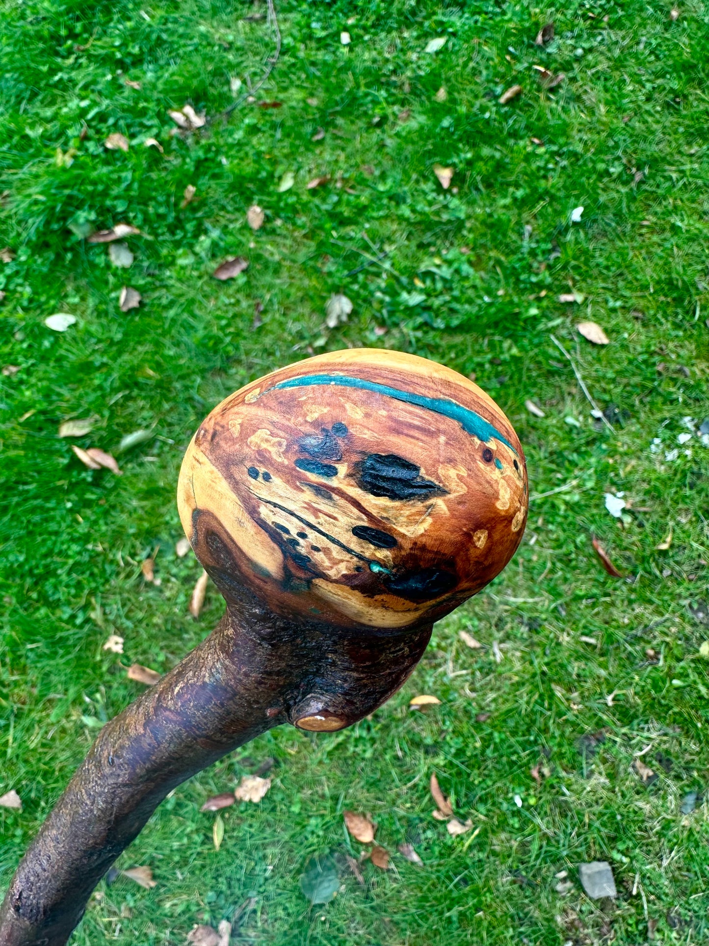 Blackthorn Walking Stick with Round Handle and Natural Dent - 100 cm / 39 inches