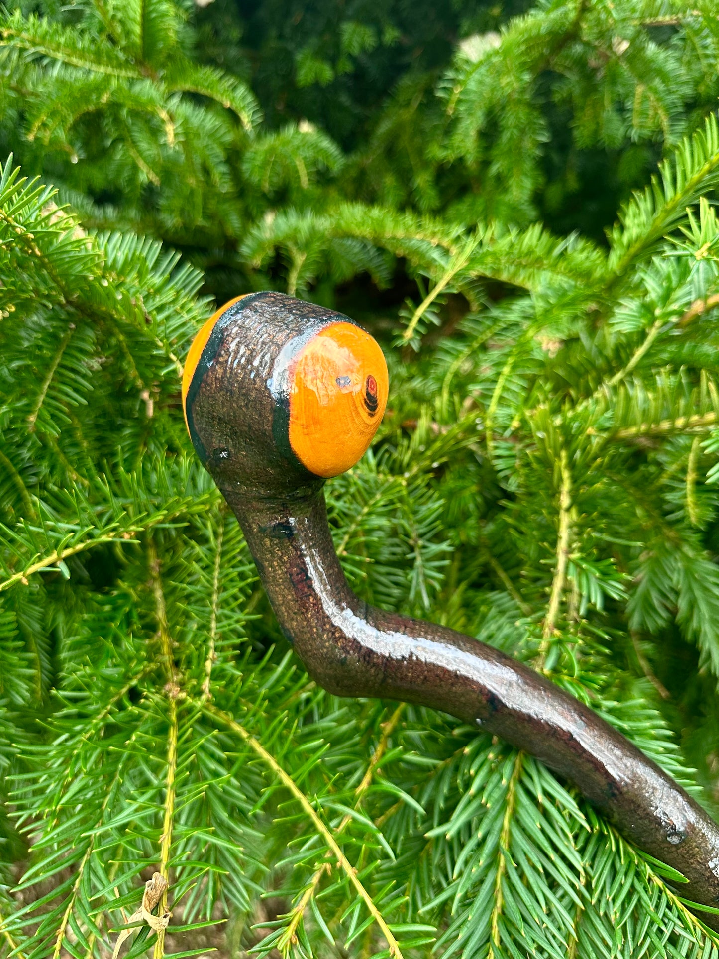 Rare Blackthorn Walking Stick with Purple Heart Head – 39”